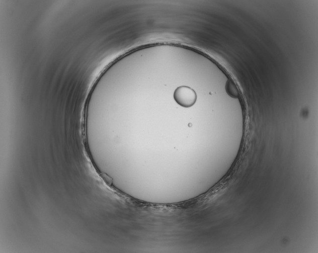 X0000116030815200912111414