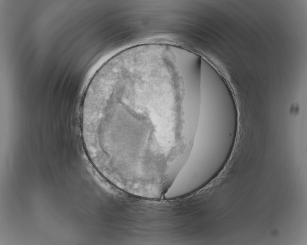 X0000116030816200912111414