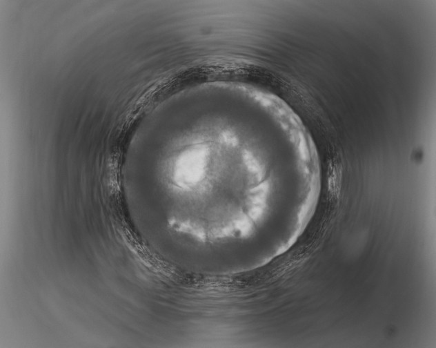 X0000116030819200912111414