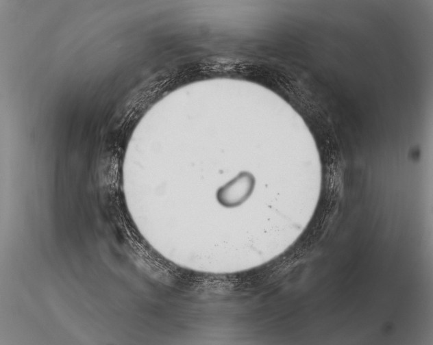 X0000116030820200912111414