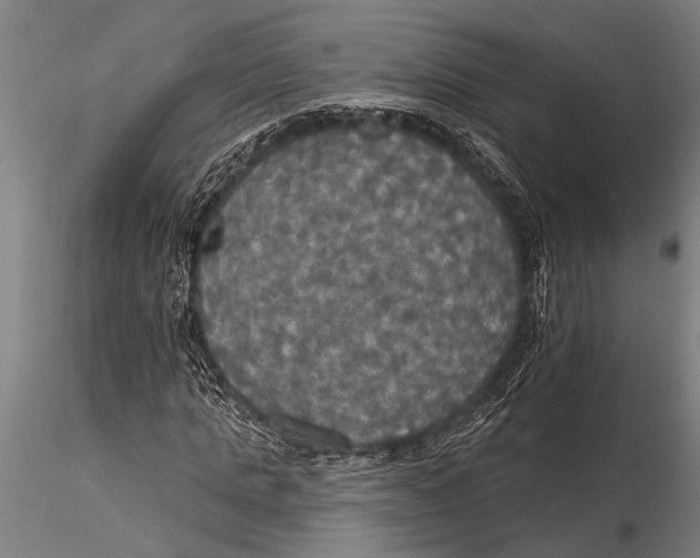 X0000116030821200912111414