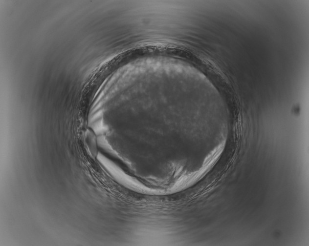 X0000116030822200912111414