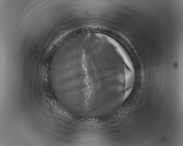 X0000116030823200912111414