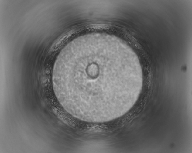 X0000116030824200912111414