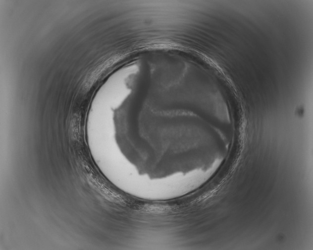 X0000116030825200912111414