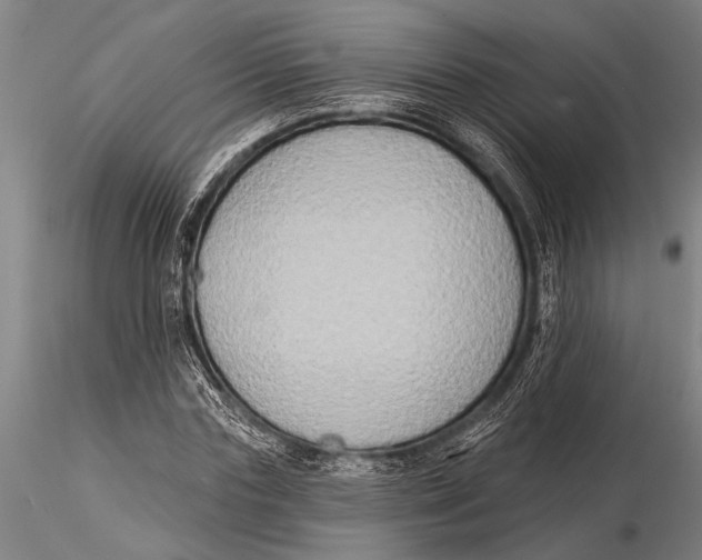 X0000116030827200912111414