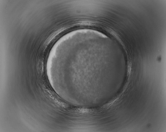 X0000116030829200912111414