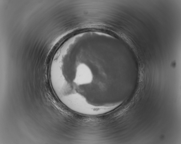 X0000116030830200912111414