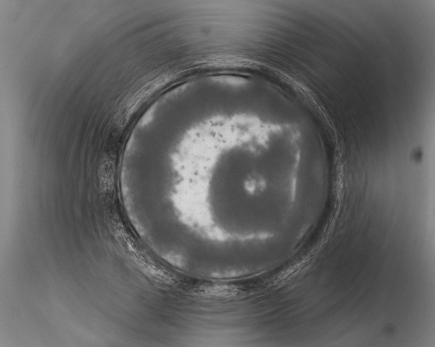 X0000116030833200912111414