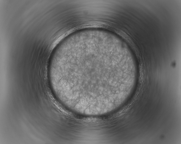 X0000116030834200912111414