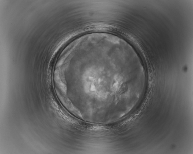 X0000116030835200912111414