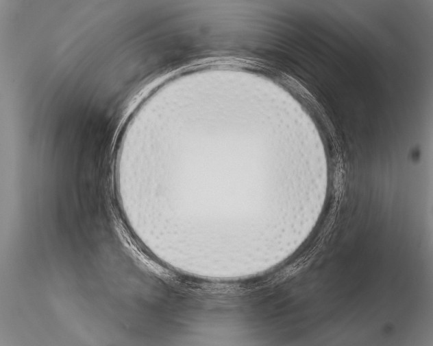 X0000116030836200912111414