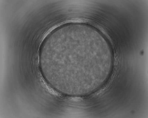 X0000116030837200912111414