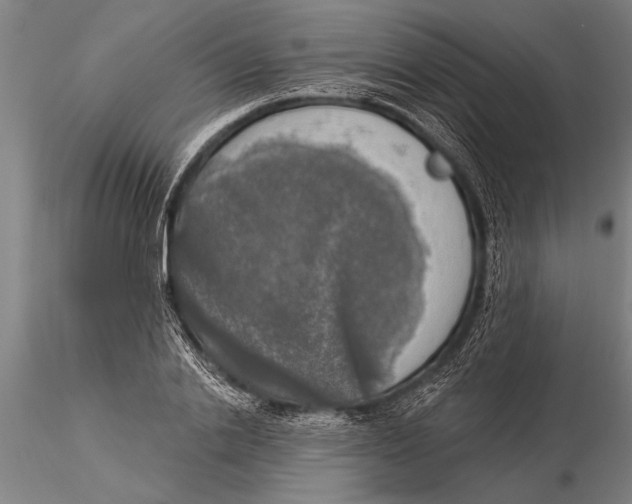 X0000116030838200912111414