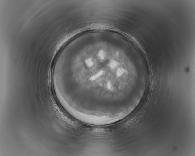 X0000116030839200912111414