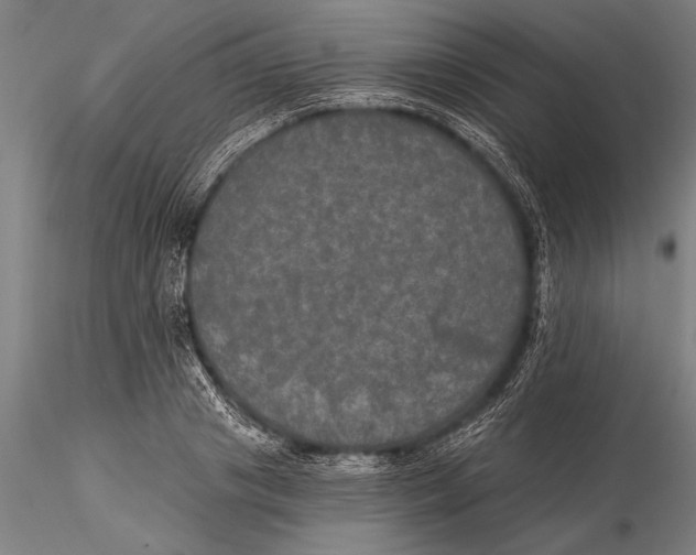 X0000116030841200912111414