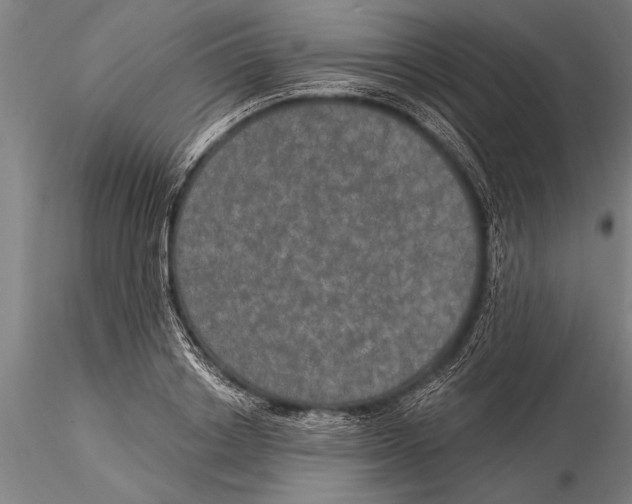 X0000116030842200912111414