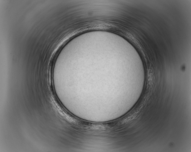 X0000116030843200912111414