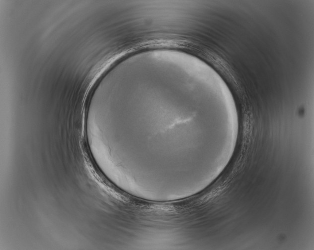 X0000116030844200912111414