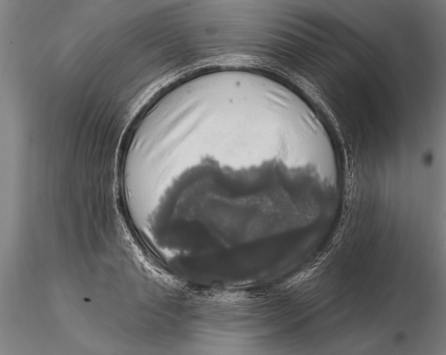 X0000116030845200912111414