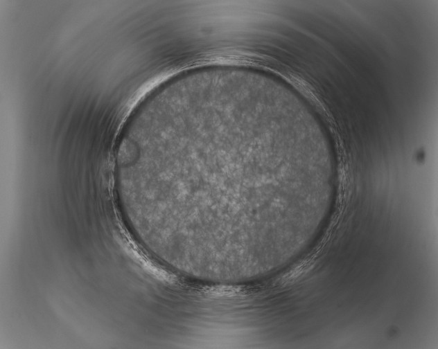 X0000116030846200912111414