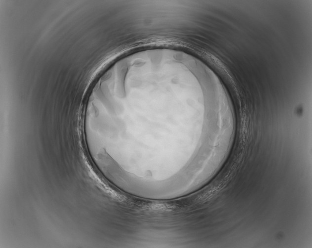 X0000116030847200912111414