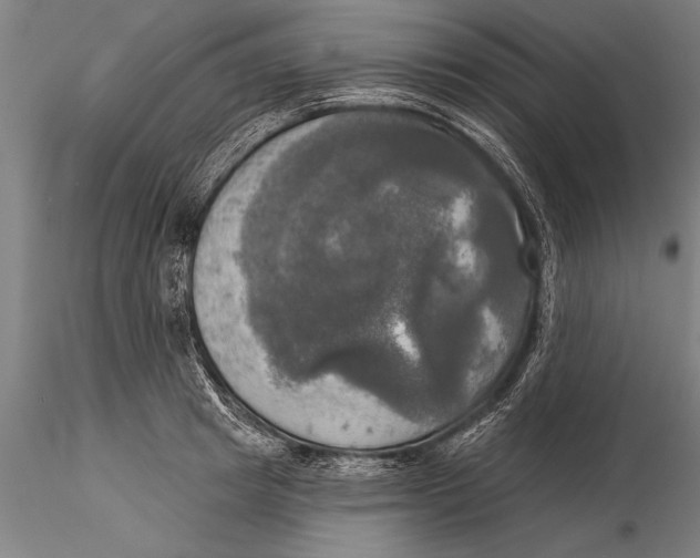 X0000116030849200912111414