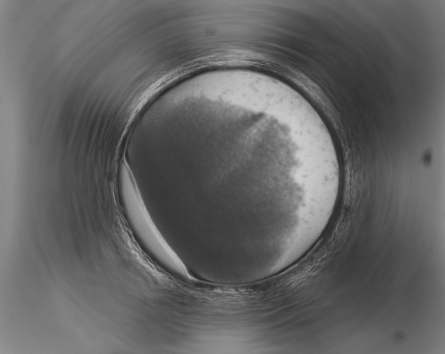 X0000116030850200912111414