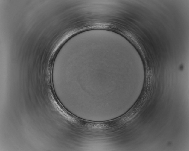 X0000116030851200912111414