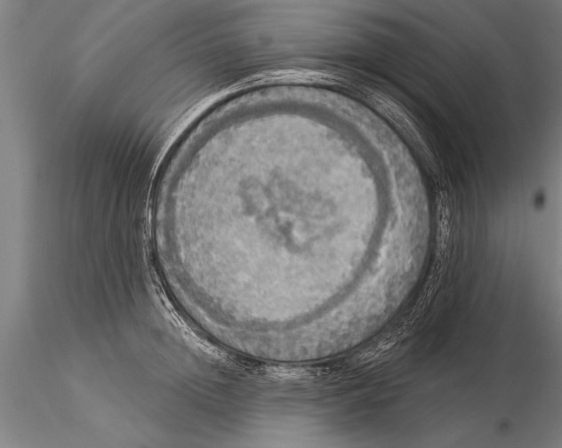 X0000116030852200912111414