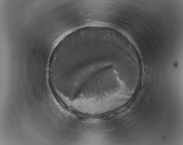 X0000116030853200912111414