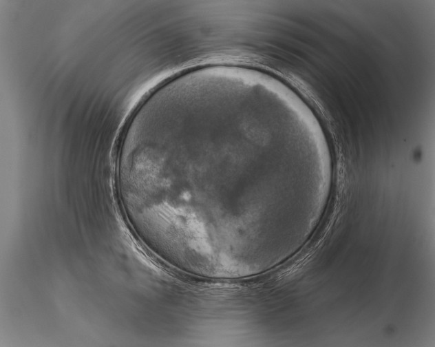 X0000116030854200912111414