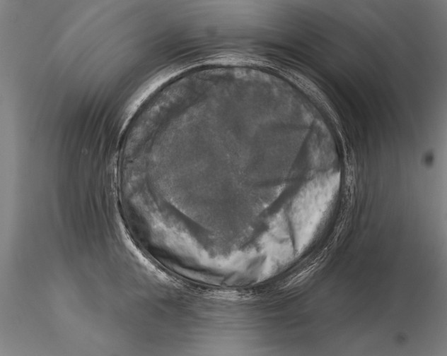 X0000116030855200912111414