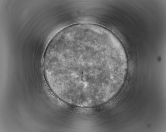 X0000116030856200912111414