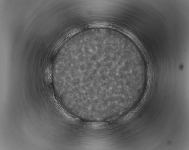 X0000116030857200912111414