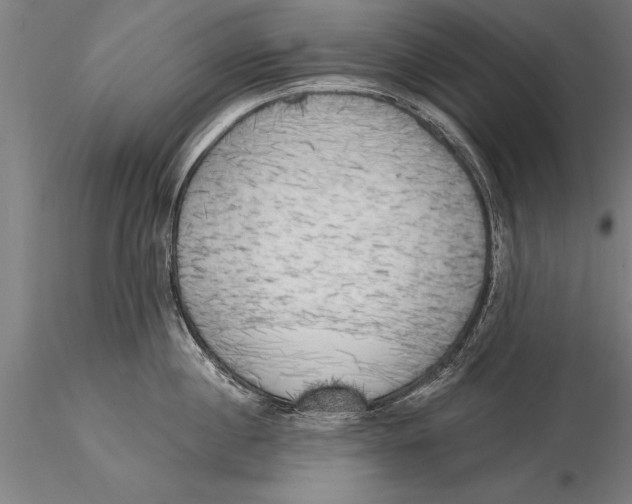 X0000116030860200912111414