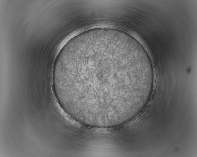 X0000116030861200912111414