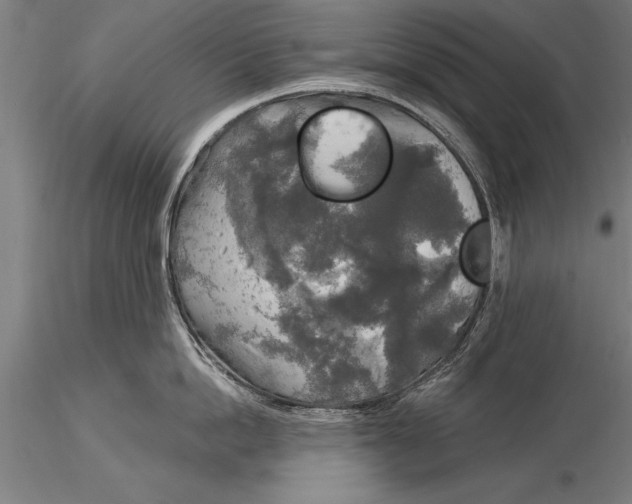 X0000116030862200912111414