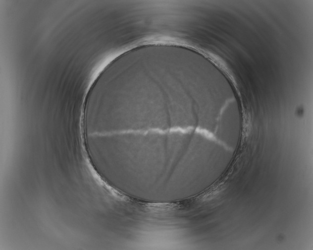 X0000116030863200912111414