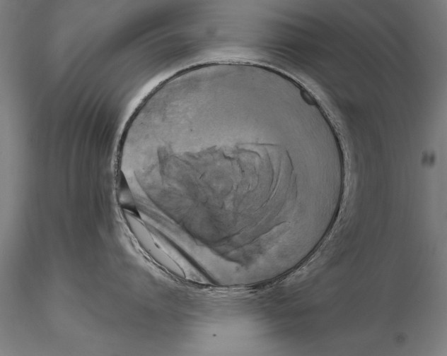 X0000116030864200912111414