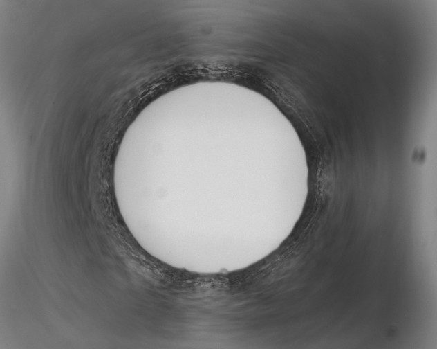 X0000116030865200912111414