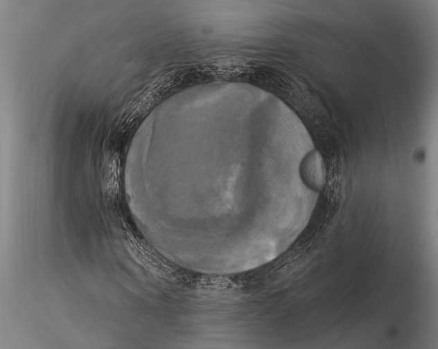 X0000116030866200912111414