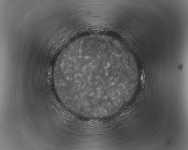 X0000116030867200912111414