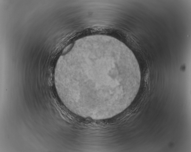 X0000116030868200912111414