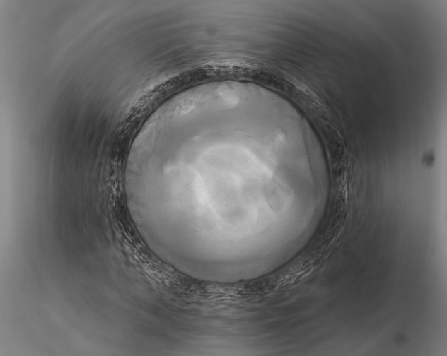 X0000116030870200912111414