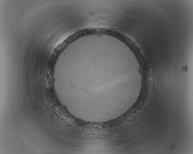 X0000116030871200912111414