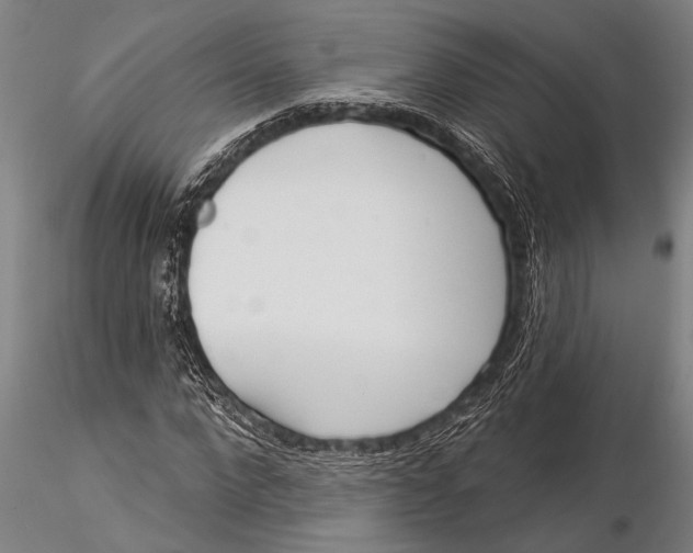 X0000116030872200912111413