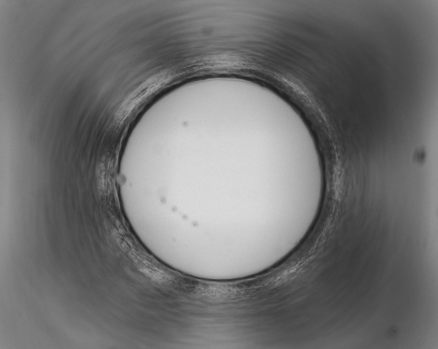 X0000116030873200912111413