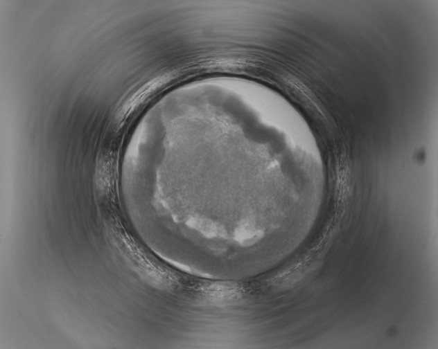 X0000116030874200912111413