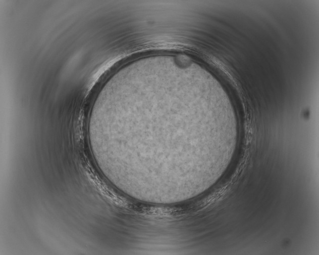 X0000116030875200912111413